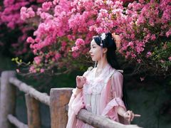 -木兰云雾山