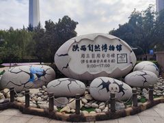 -陕西自然博物馆