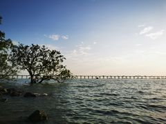 -宝安西湾红树林湿地公园