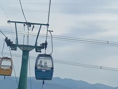 -缙云山景区