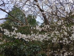 -南山风景名胜区