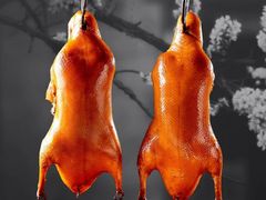 -宫燕府·京菜·烤鸭·淮扬菜(王府中心店)