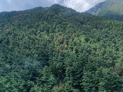 -苍山感通索道