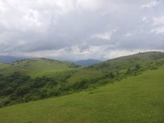 -大姆山草场