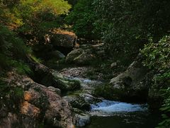 -大鄣山卧龙谷景区