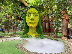 -呀路古热带植物园