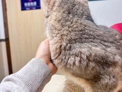 -宠颐生宠物医院外科·内科·皮肤科·影像科(石龙店)