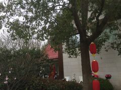 景点-上海海湾国家森林公园