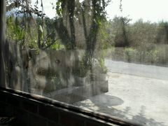 -邱家老字号炒鸡店