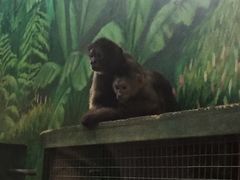 -西安秦岭野生动物园