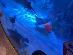 -沈阳海洋探索中心