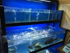 水产区-李东农庄(中南百草园地标店)