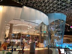 -视博茶点(美狮美高梅店)