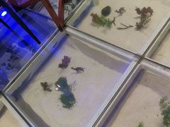 景观位-哈密古丽新疆餐厅(江北融创店)