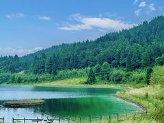 -武陵山森林公园