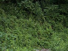 -平湖九龙山旅游度假区
