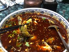 老坛酸菜黄辣丁-青城甲(青城山店)