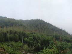 -山沟沟景区