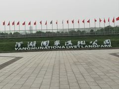 -洋湖国家湿地公园