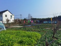 -小鱼草莓采摘园农家乐·小鱼餐厅