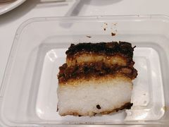 -紫光园·烤鸭(吕家营店)