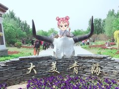 -武清南湖绿博园