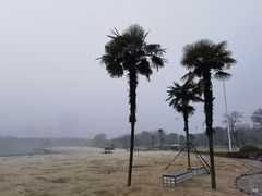 -滨湖塘西河公园