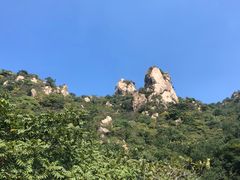 -大岭沟猕猴桃谷风景区