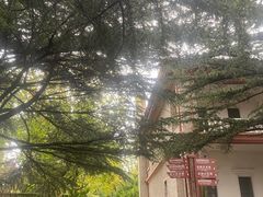 -烟台山景区
