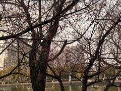 -杭州师范大学(下沙校区)