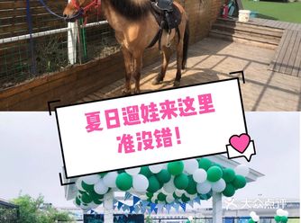 夏日遛娃来小蜜蜂农场，来一场不一样的夏日狂欢～
