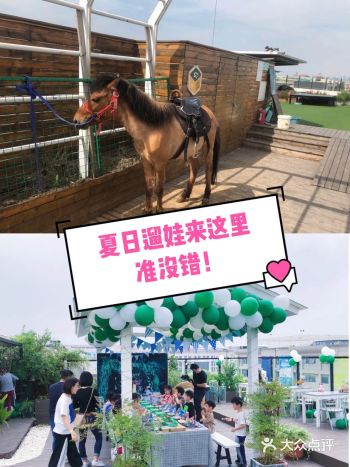 夏日遛娃来小蜜蜂农场，来一场不一样的夏日狂欢～