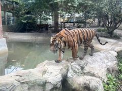 -成都动物园