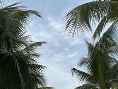 -三亚西岛海洋文化旅游区