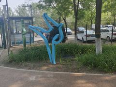 -大兴滨河森林公园