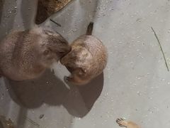 -正佳雨林生态植物园