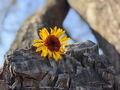 -丽江泸沽湖景区