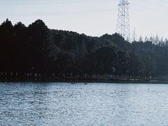 -新洲生态园