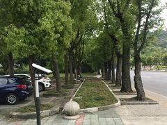 -佘山国家森林公园-西佘山停车场