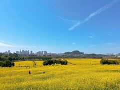 -光明小镇欢乐田园