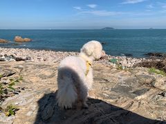 -崂山仰口游览区