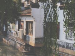 -普洱茶府(博乐广场店)