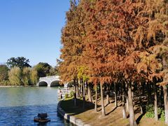 -金鸡湖高尔夫会员专属俱乐部