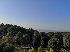 -铁山坪森林公园