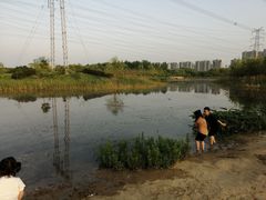 -昆山城市生态森林公园