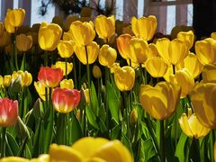 -北陵公园