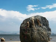 -洱海月湿地公园