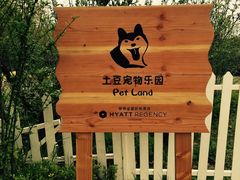 -上海崇明金茂凯悦酒店