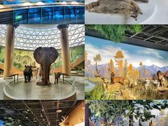 -陕西自然博物馆