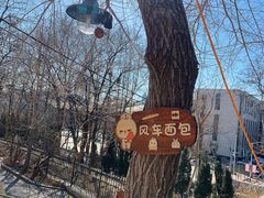 -风车面包